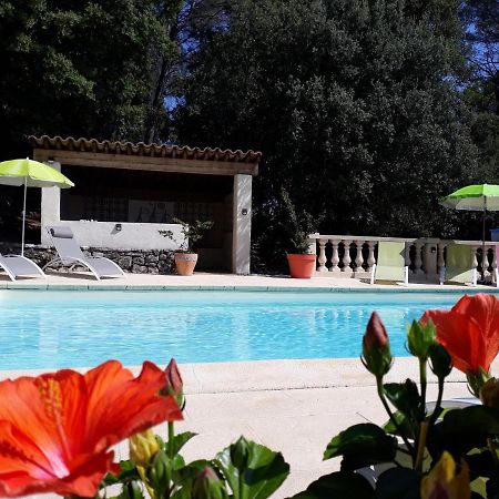 Le Mas des Hibiscus Trans-en-Provence Extérieur photo